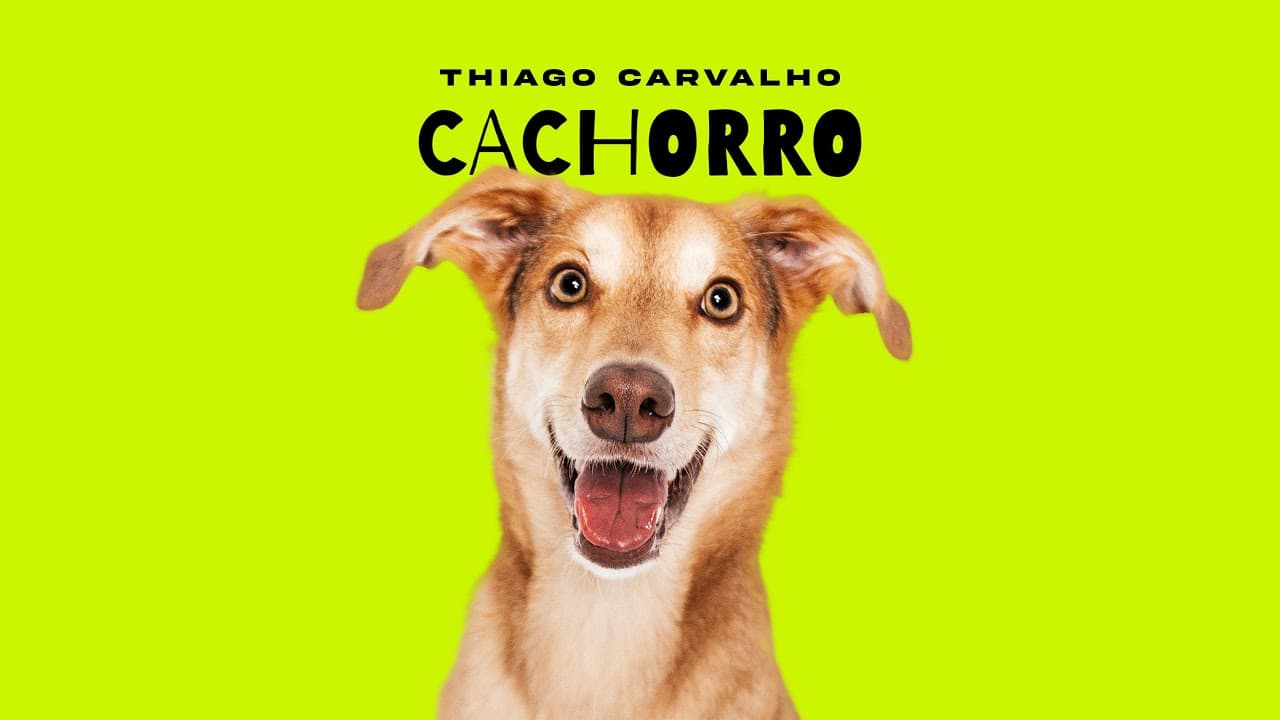 Thiago Carvalho | Cachorro (Lyric Oficial)