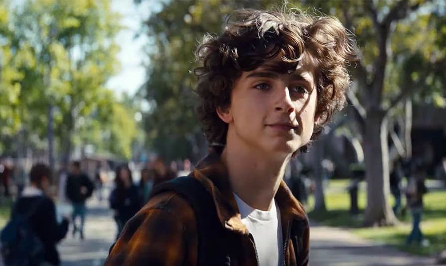 Timothée Chalamet é um viciado em metanfetamina no trailer de “Beautiful Boy”
