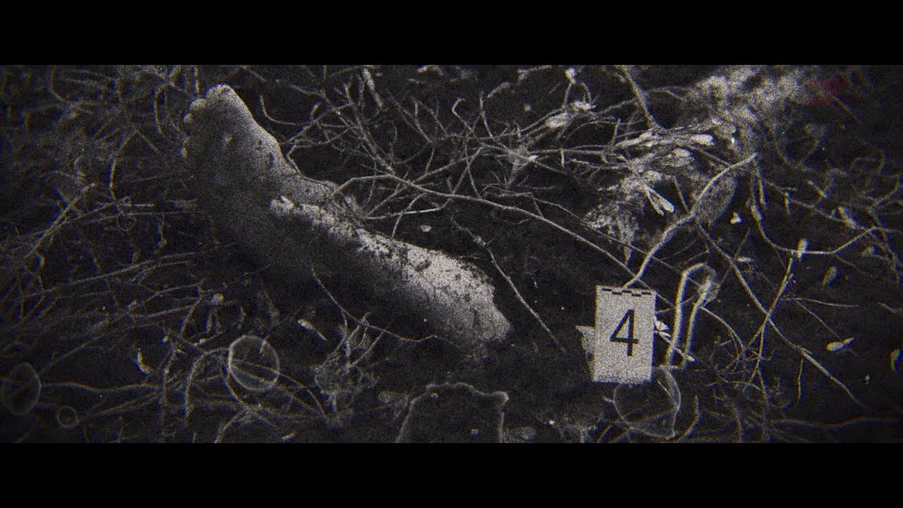 A Viúva das Sombras | Trailer Oficial Legendado