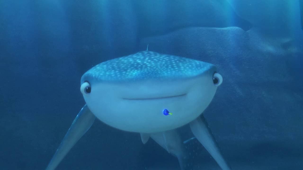 Trailer 2 - Procurando Dory - 30 de junho de 2016