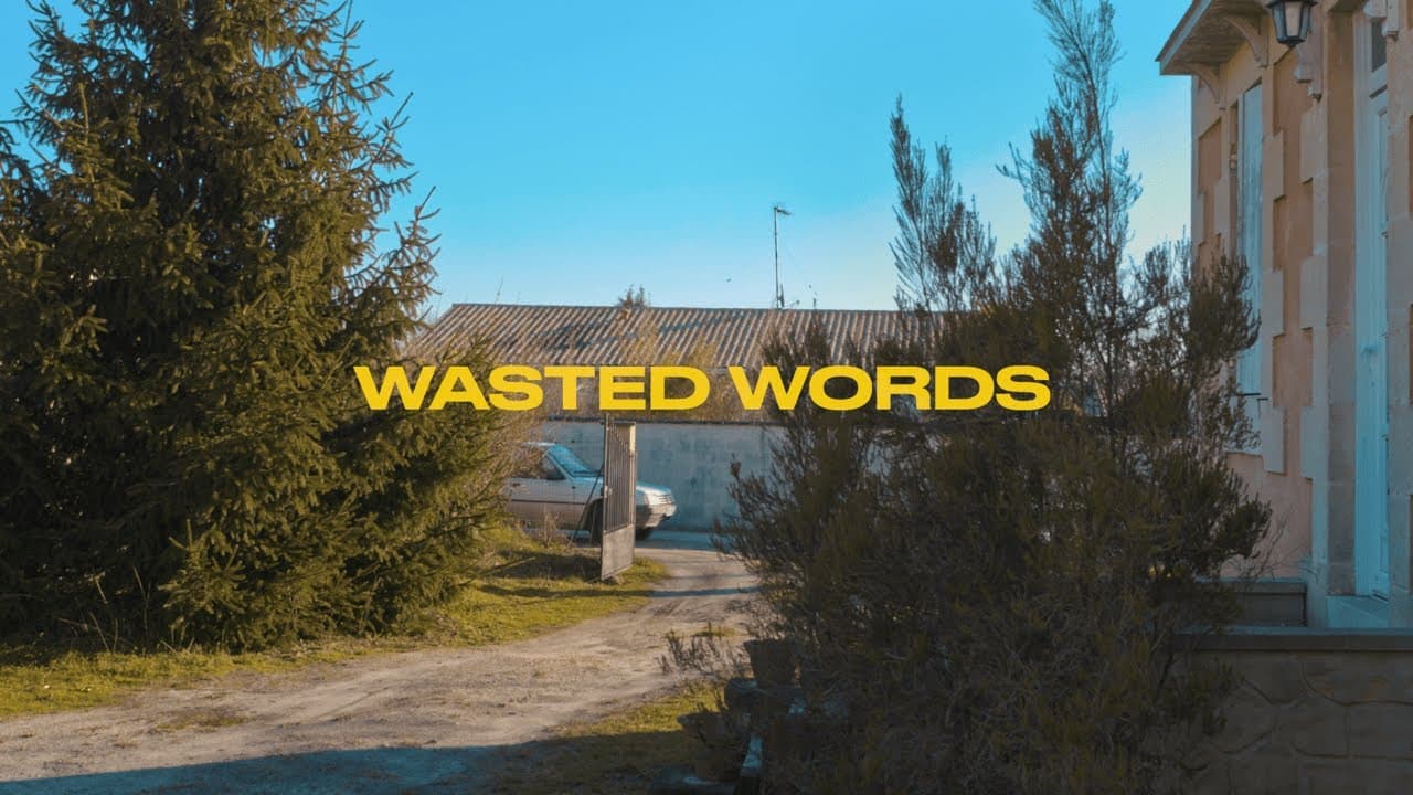 The Barking Spiders - Wasted Words (Official Music Video)